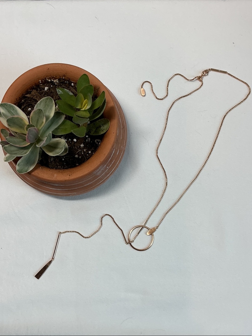 Kendra Scott Nanali Rose Gold Circle Lariat Necklace